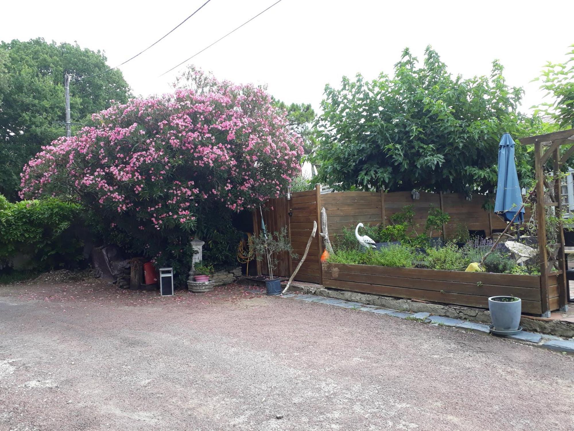 Résidence Fleur des Pins - Gites&Chambres d'Hôtes Saint-Georges-d'Oleron Exterior foto